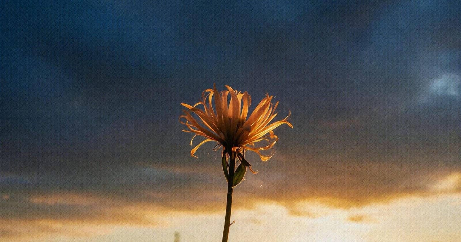 용서받았는데 왜 이렇게 무거울까요