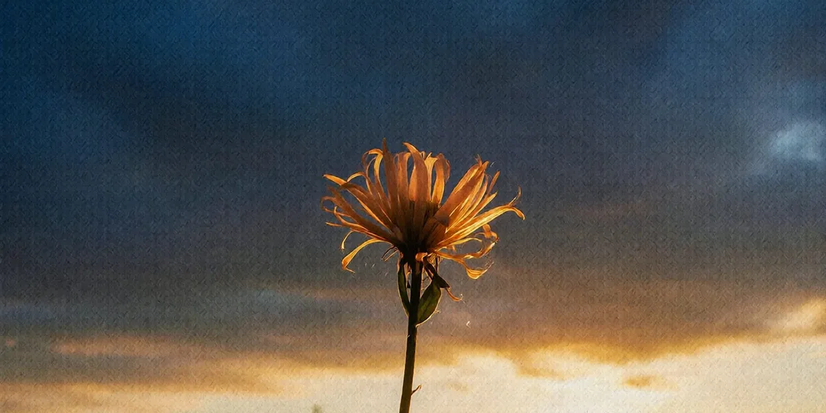 용서받았는데 왜 이렇게 무거울까요